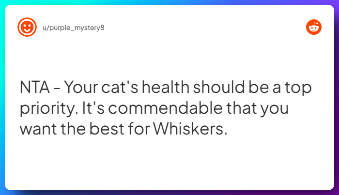 Comment from u/purple_mystery8