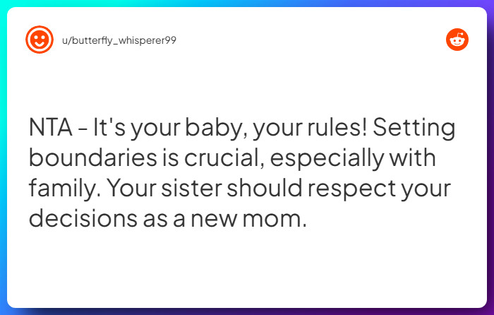 Comment from u/butterfly_whisperer99