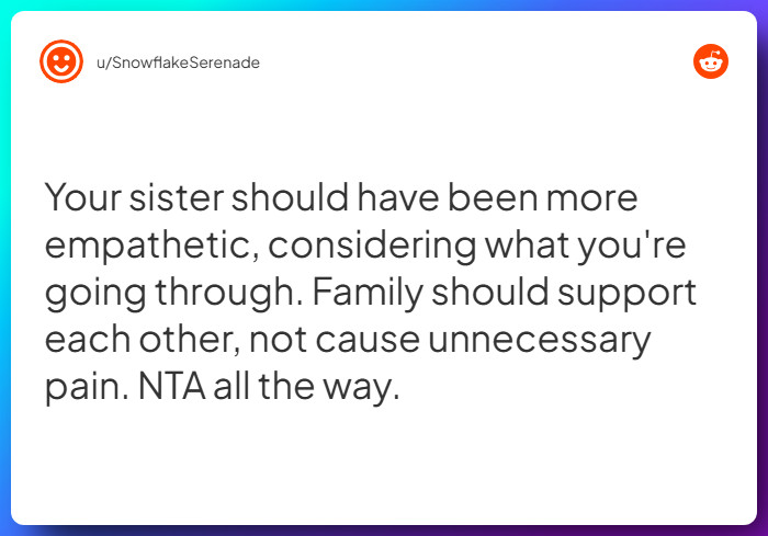 Comment from u/SnowflakeSerenade