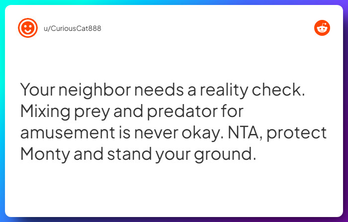 Comment from u/CuriousCat888