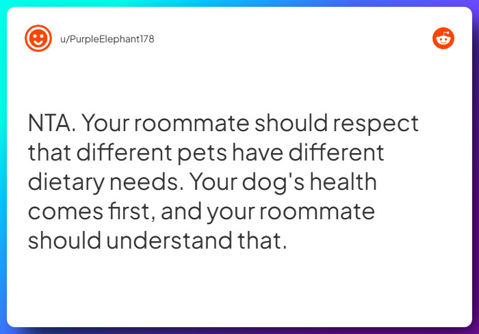 Comment from u/PurpleElephant178