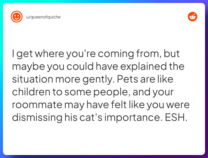 Comment from u/queenofquiche