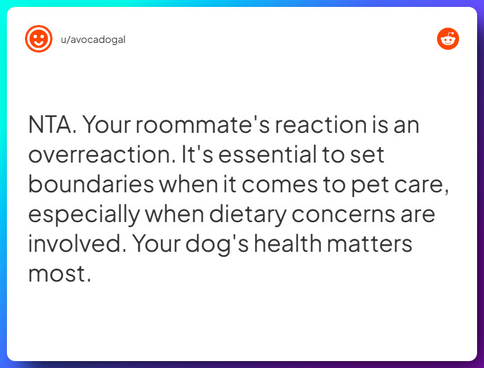 Comment from u/avocadogal
