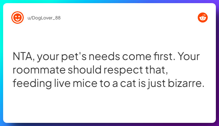 Comment from u/DogLover_88