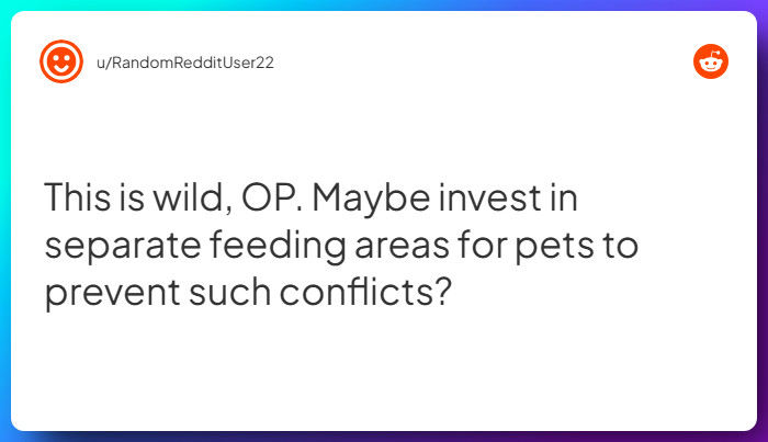 Comment from u/RandomRedditUser22