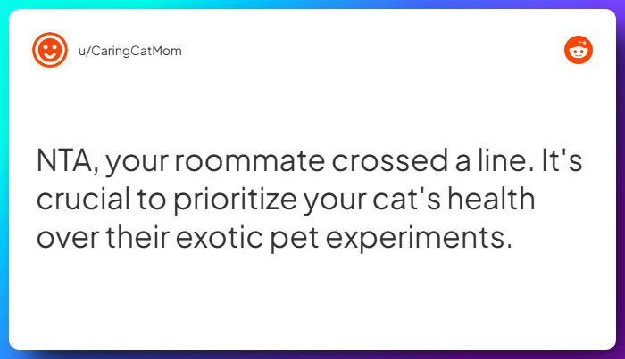 Comment from u/CaringCatMom