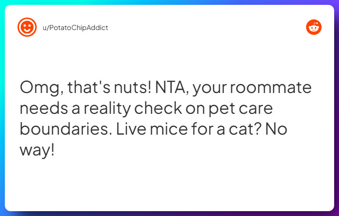 Comment from u/PotatoChipAddict