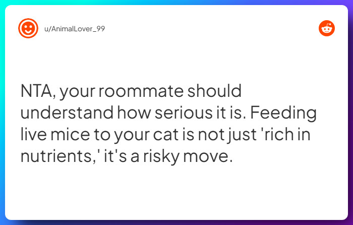 Comment from u/AnimalLover_99