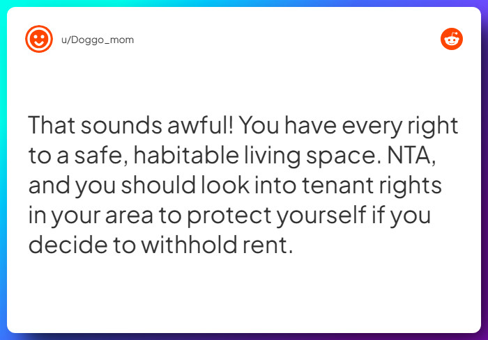 Comment from u/Doggo_mom