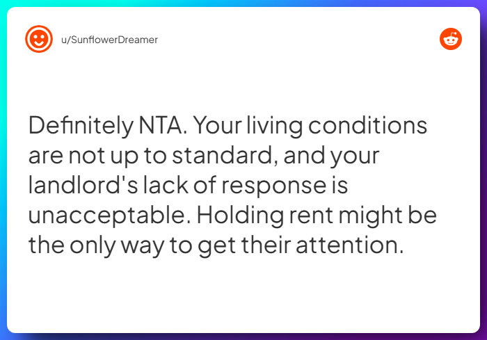 Comment from u/SunflowerDreamer
