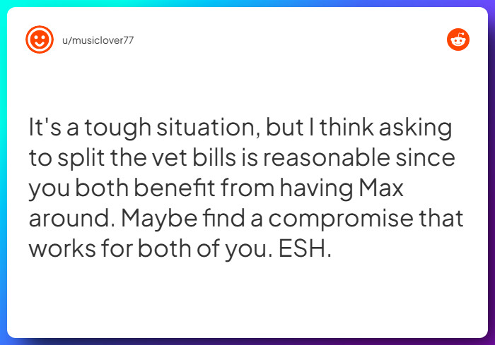 Comment from u/musiclover77
