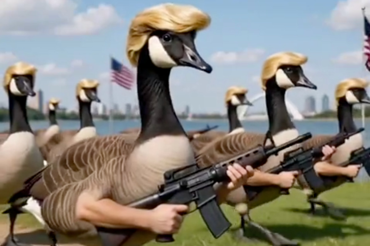 Trump’s AI ‘Donald Ducks’ video gave the Lake Ontario naming fight its strangest twist yet