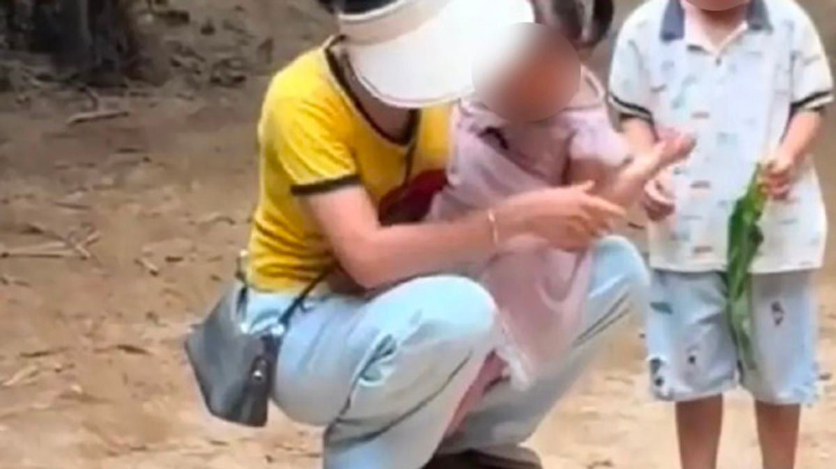 Zoo forced to X ray tortoise after visitor was filmed sitting on it with child