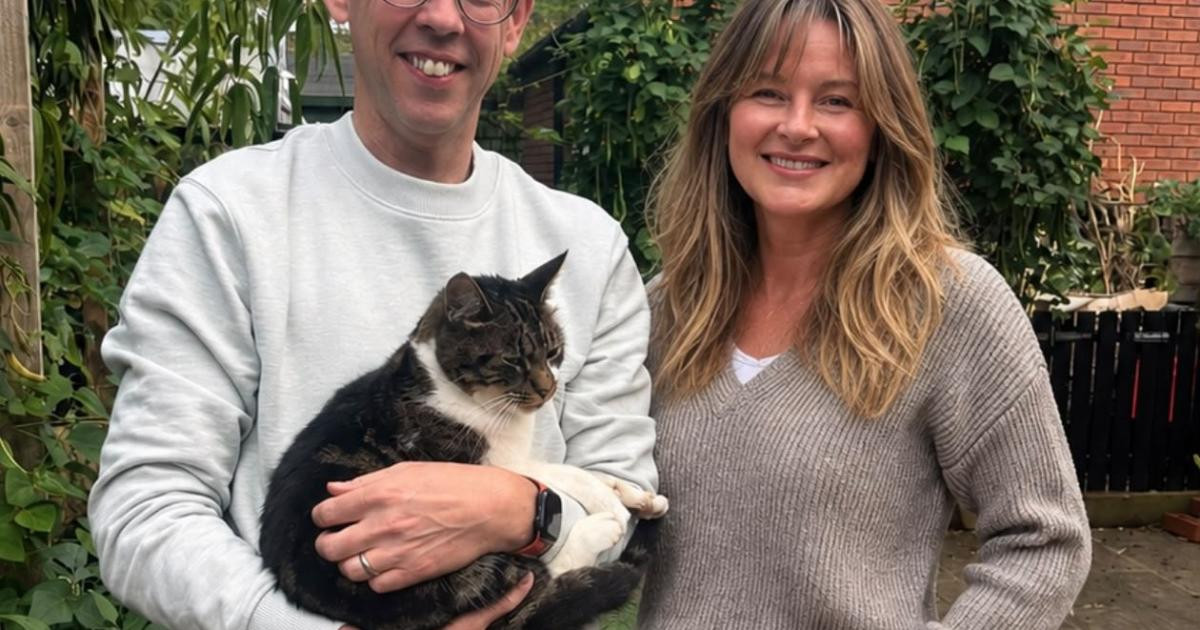 The cat in the vegetable patch turned out to be missing from York, nearly 96 miles away