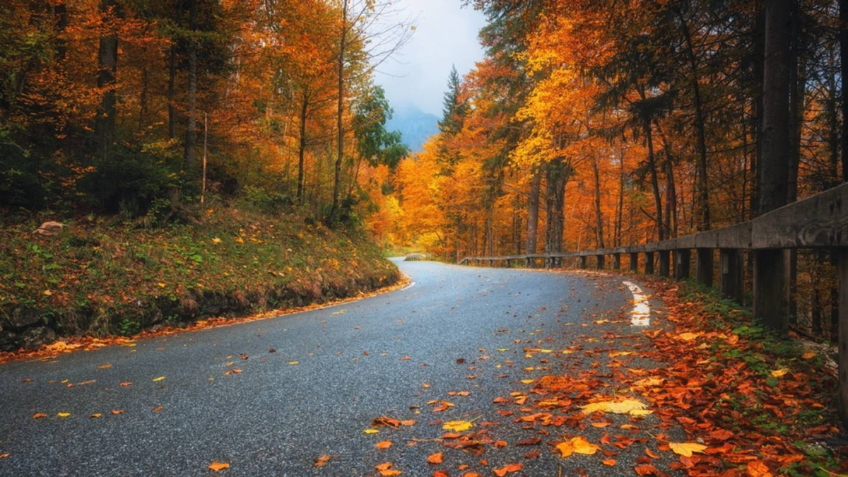 The First Cold Day Was Peak '90s: 7 Fall Rituals Kids Jumped Into Right Away