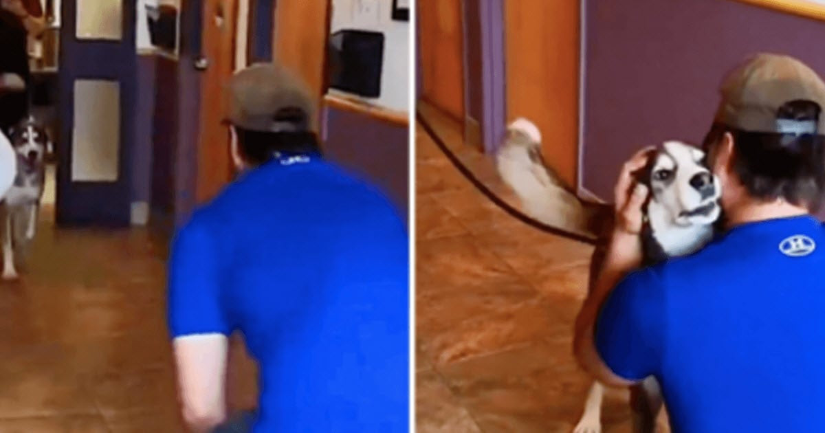 A Call From Eight Hours Away Led Mike Back To The Dog He Had Searched For 3 Years