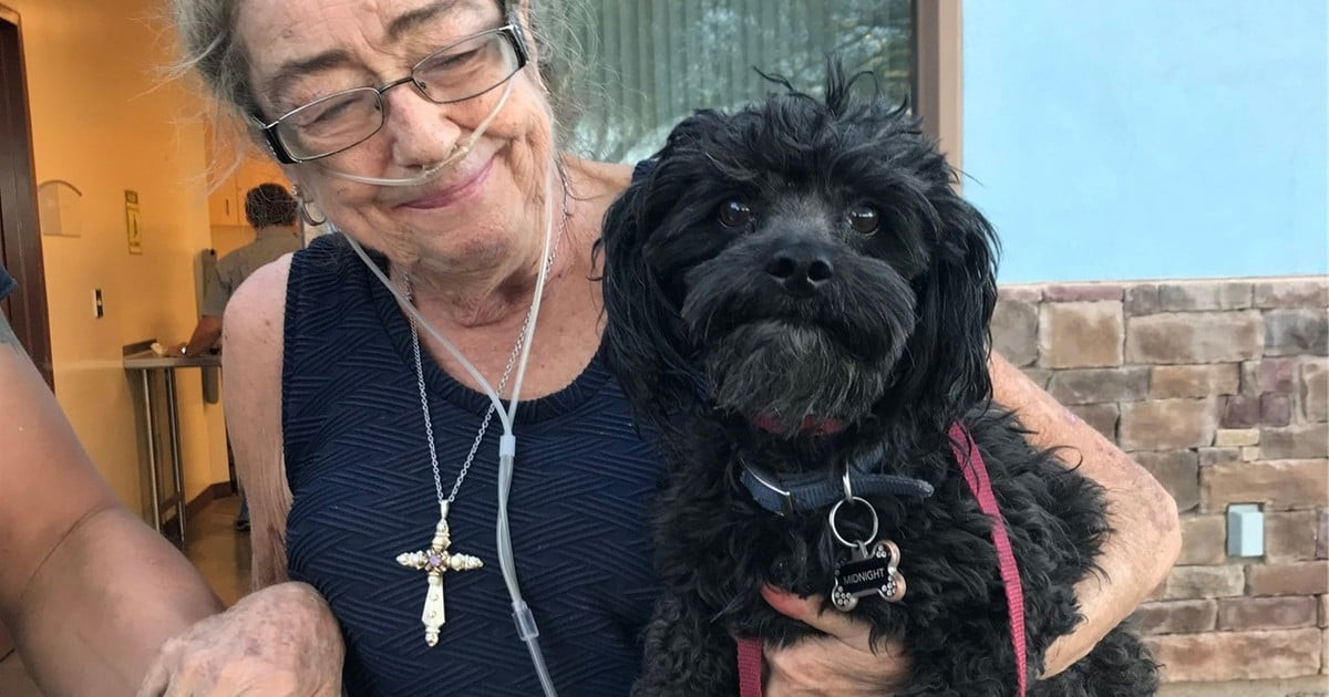 The heartbreaking reason a mum brought her dog back to the shelter, and what happened in the lobby changed everything
