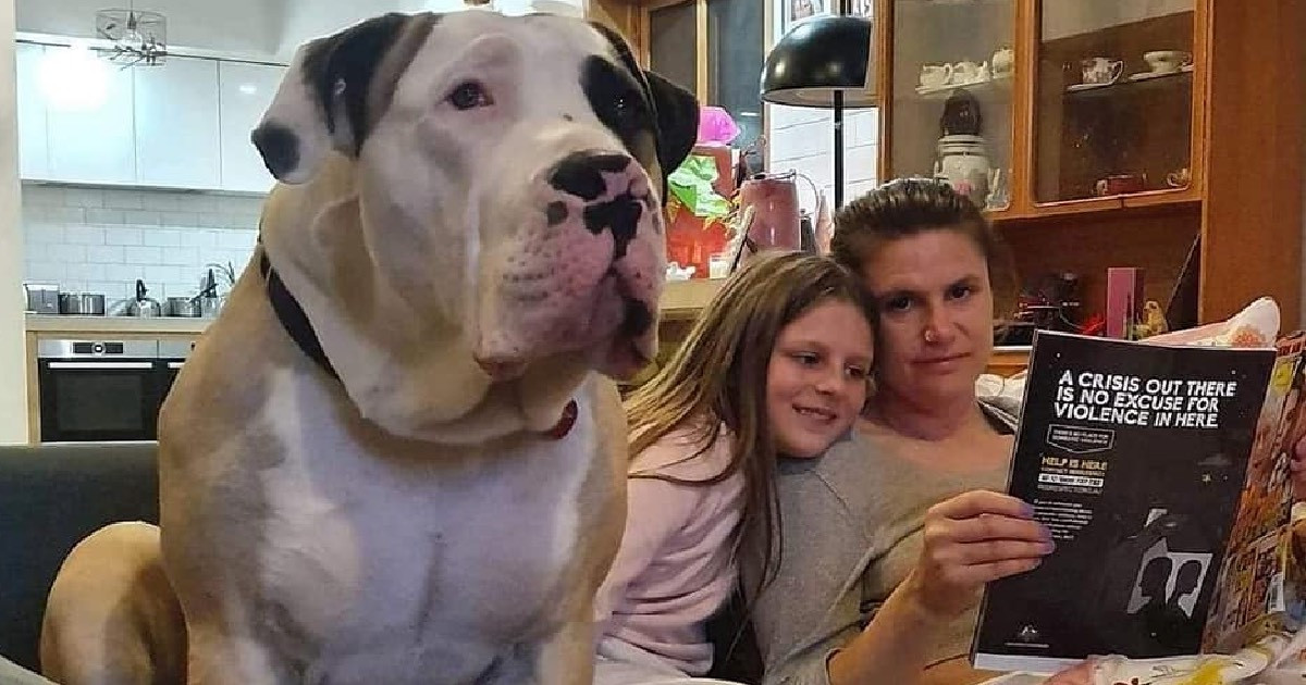 People Thought This Enormous Dog Had to Be Fake Until They Found Out What Breed He Is