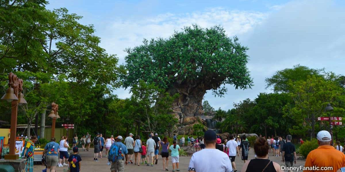 Why One Animal Kingdom Safari Suddenly Became a Front Row Rhino Lesson