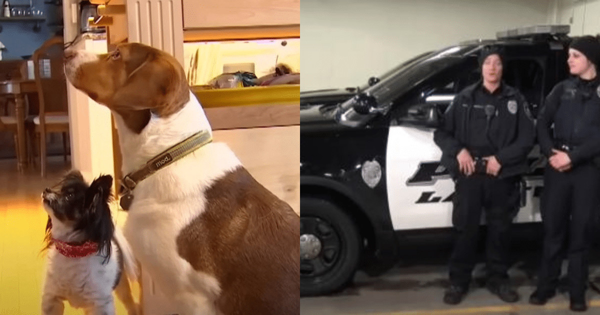 Police Answered 16 Emergency Calls From One Minnesota Home, Then Saw Who Was Waiting At The Window