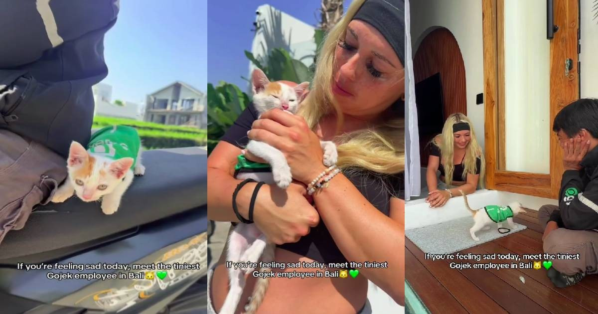 More Than a Tiny Jacket: Why Bali's Viral "GoCat" Has People Talking