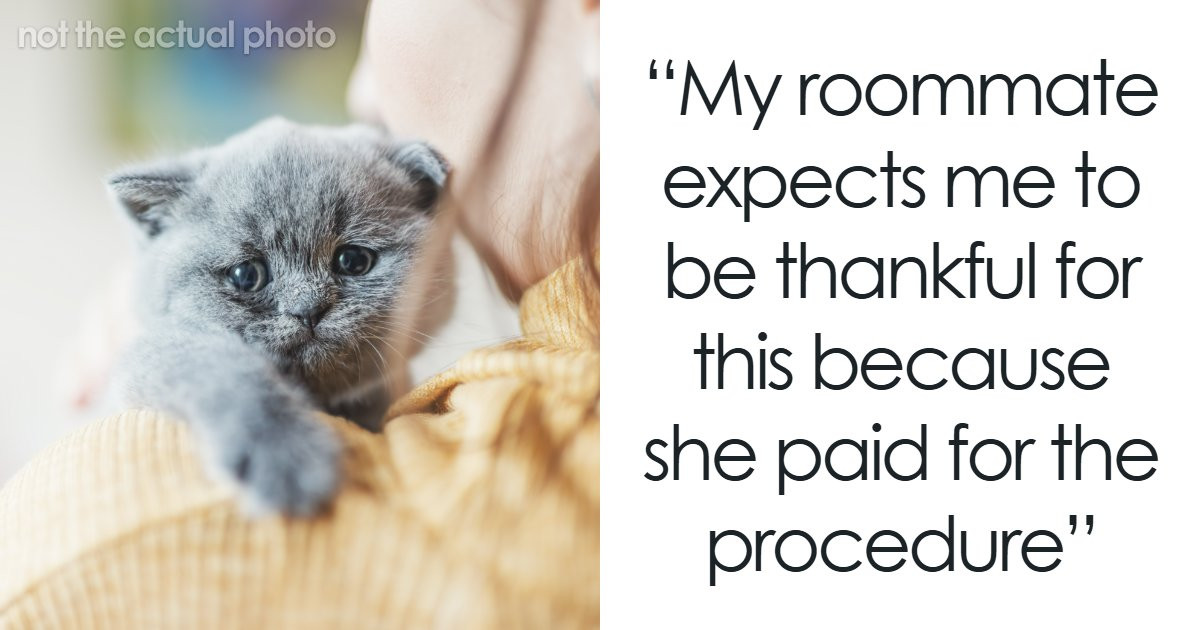 Woman Walks In To Find Her Cat’s Paws Bandaged, Then Learns Her Roommate Made a Huge Decision Without Asking