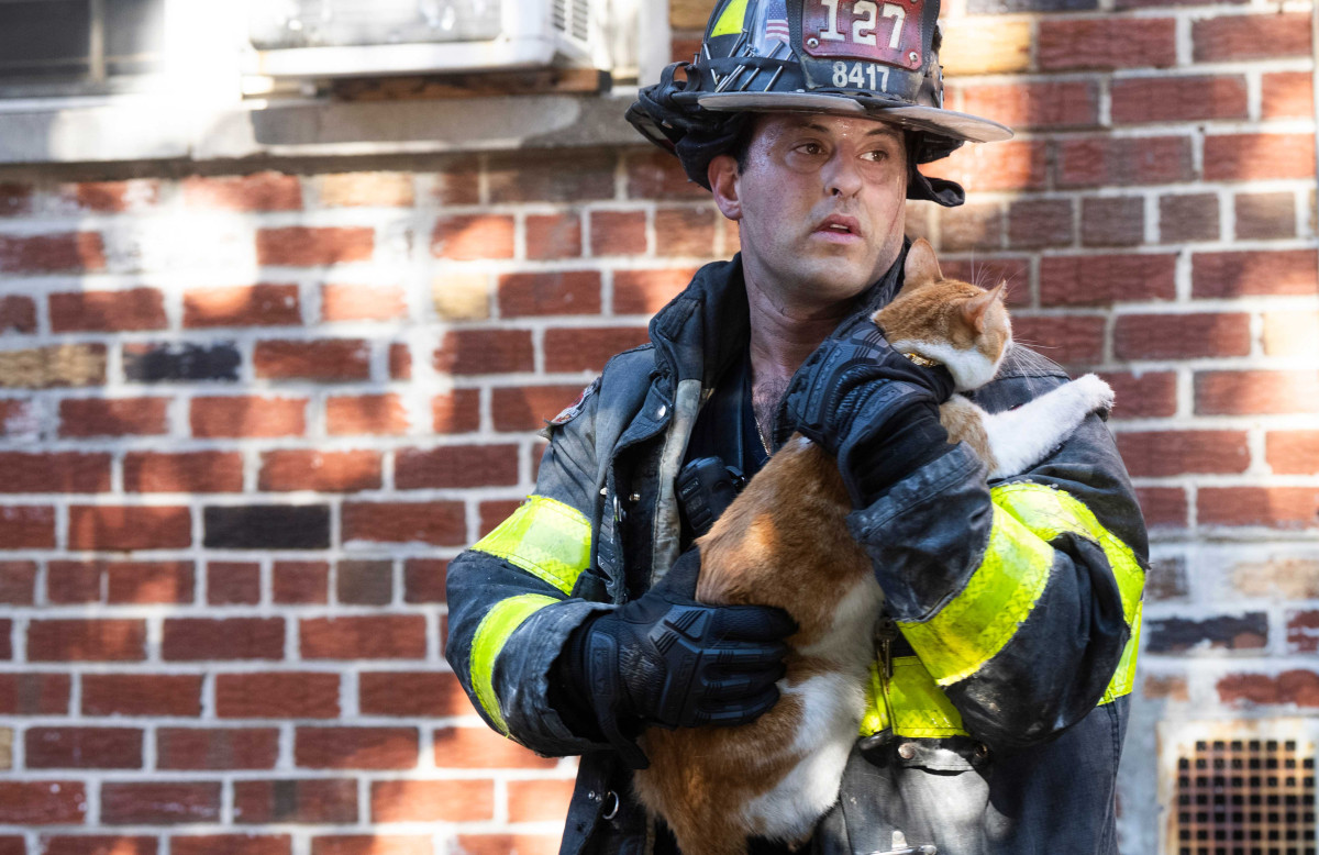 A Narrow Ledge Became This Jamaica Cat’s Way Out of a Burning Apartment