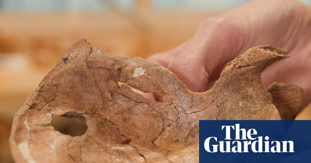 The 1.5cm Hole in a Neanderthal’s Shoulder Could Be the Oldest Spear Killing Ever Found