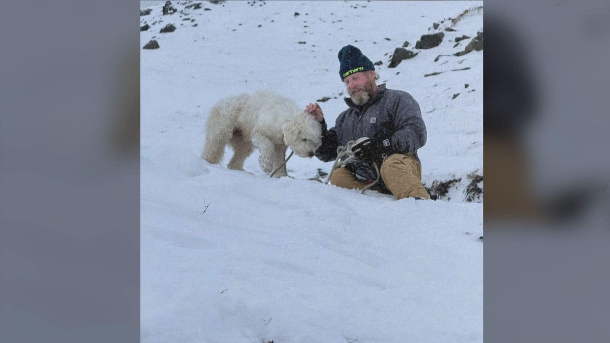 Missing Dog Found in Alaska After AirTag Update Led Helicopter Searchers to a White Shape in the Snow