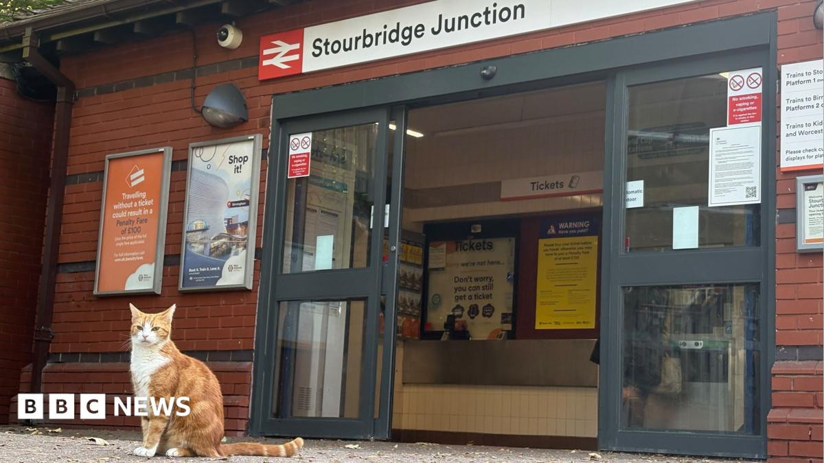 Stourbridge Junction cat George adds autobiography to his station legend