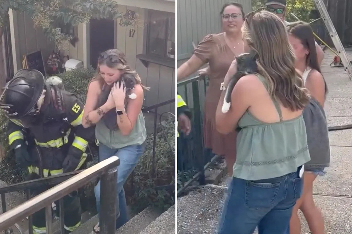 Black-and-White Kitten Returns After California Apartment Fire, and the Reunion Says Everything