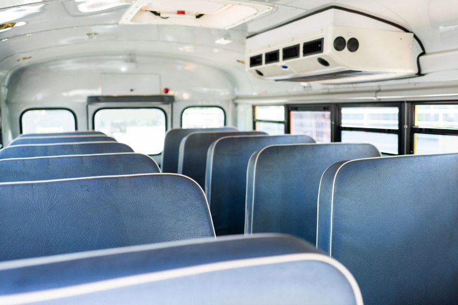 School bus driver lost her job after one student stopped to save an injured kitten