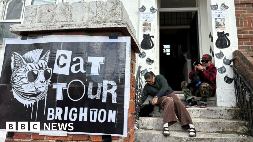 Brighton Cat Tour sets out Sunday with 25 cats to meet and a shelter fundraiser
