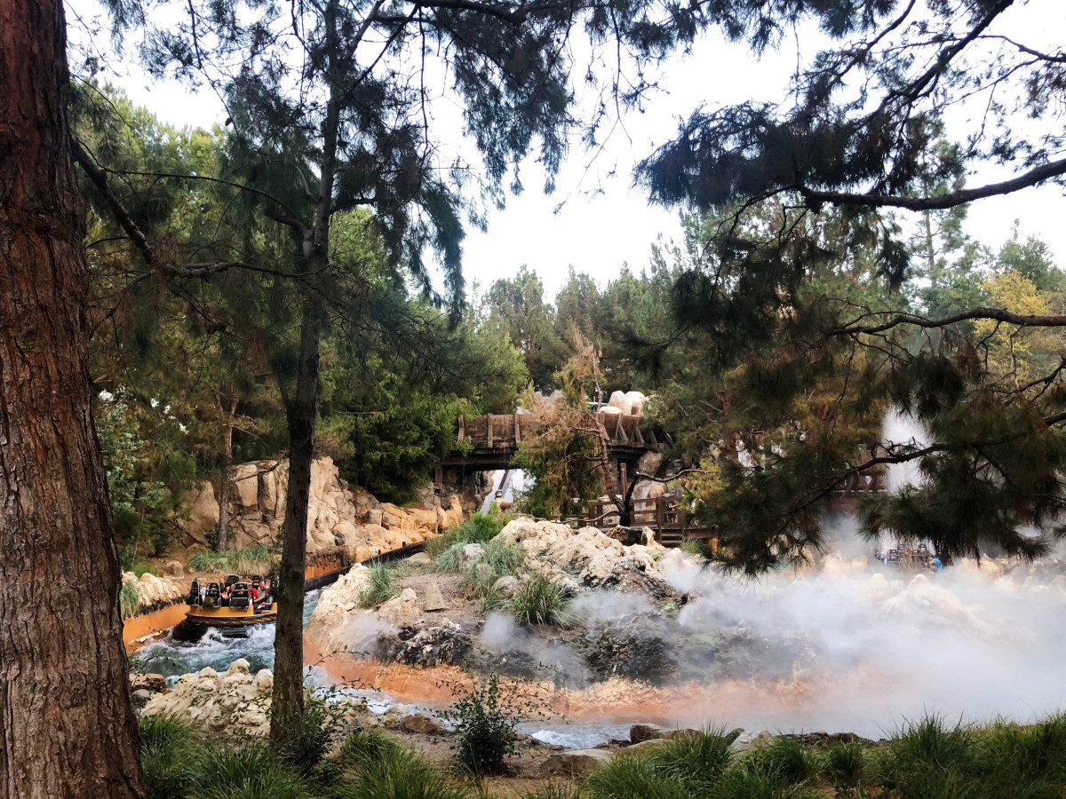Why Grizzly River Run Was Suddenly Drained After a Guest Climbed Out