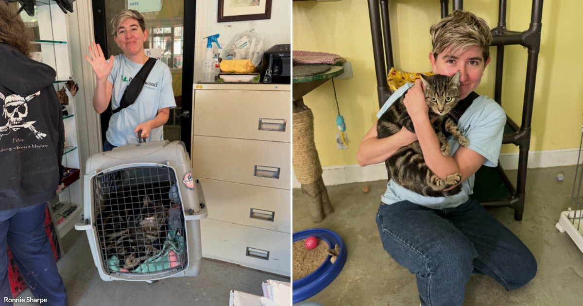 A Shelter Scan Solved the Puzzle: Missing Cat Found on California Coast Was From the Sacramento Valley