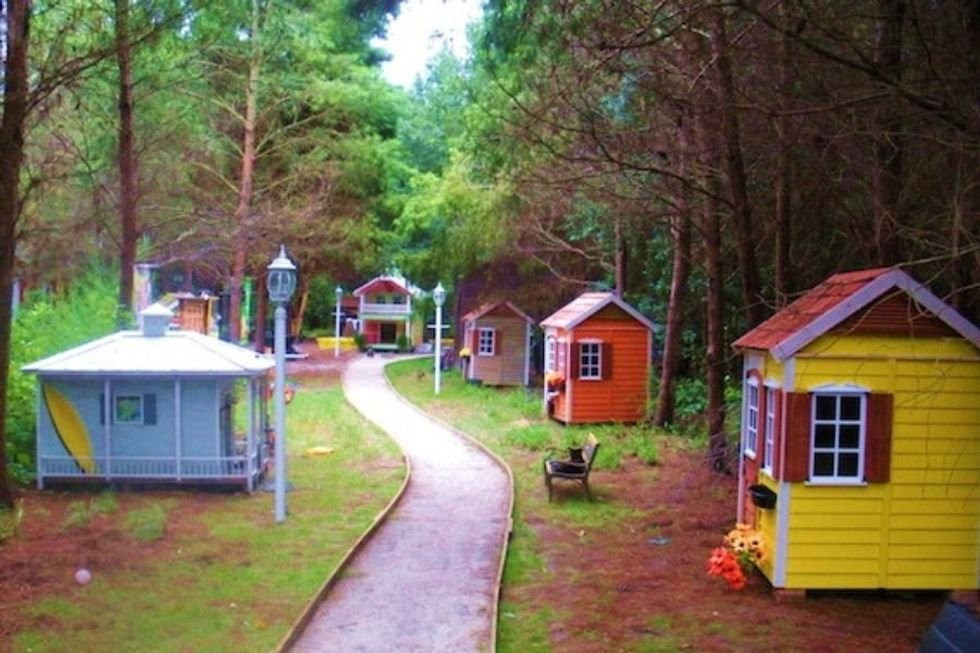 Inside the Tiny Cat Village Giving Senior Cats a Real Retirement