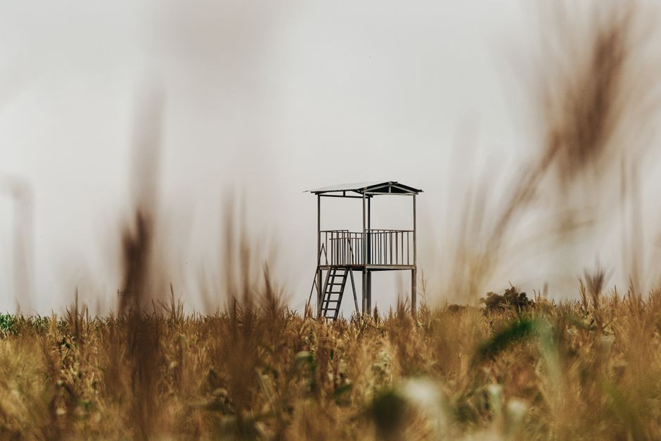 An 11-foot metal object turned up in a Minnesota cornfield, and even the sheriff says answers are 'cryptic'