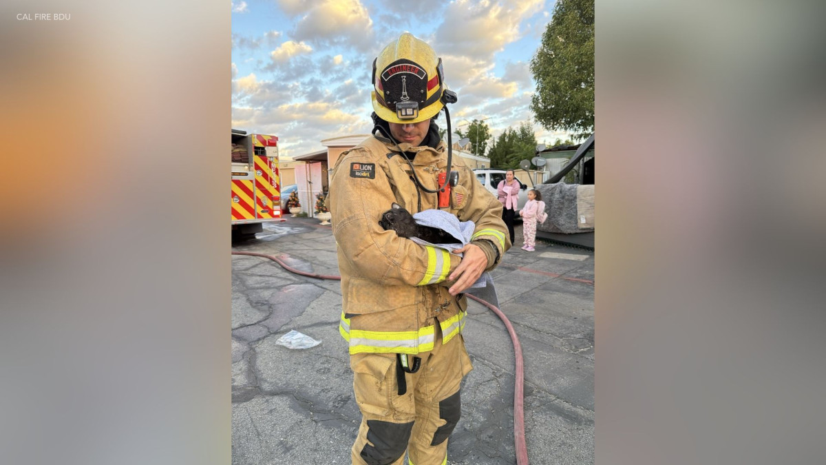 7 Things to Know About the Yucaipa Fire Where Firefighters Revived One Cat
