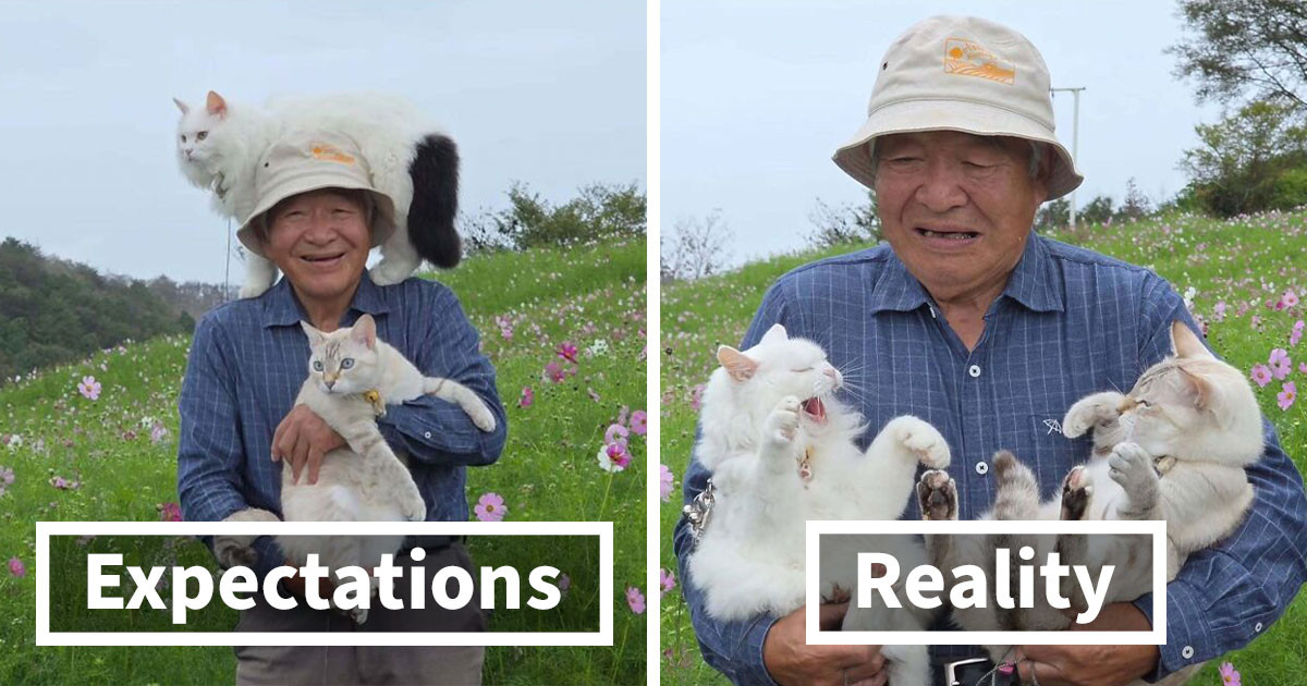 20 Times a Grandpa's Scenic Cat Photo Plan Turned Into Chouchou and Miko's Private Debate