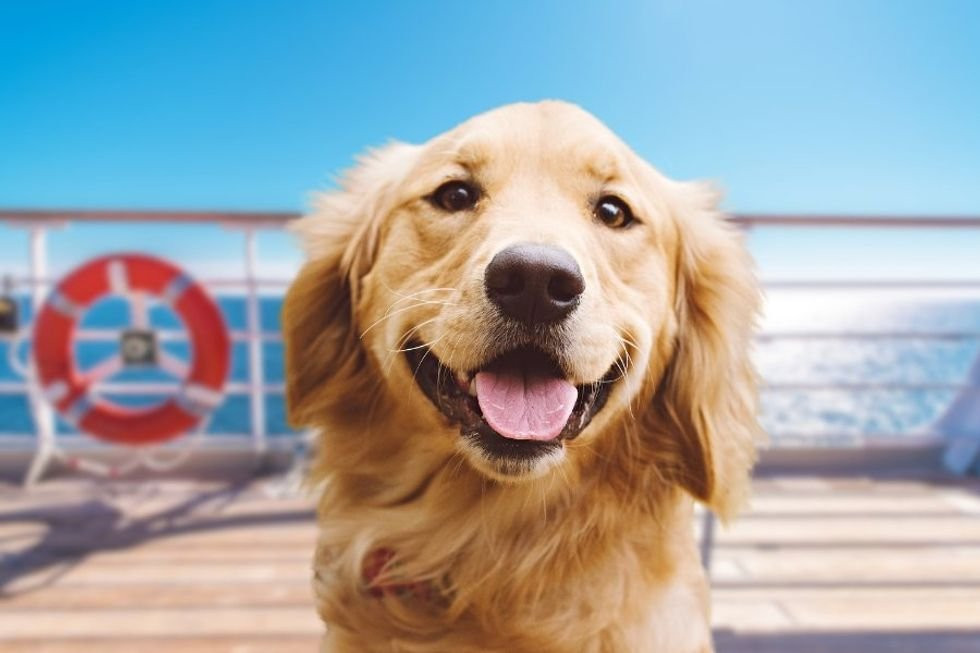 Why Pluto Breaks Forest’s Professional Composure on a Disney Cruise