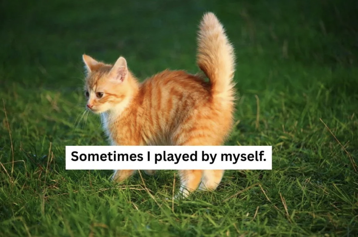 The Real Twist Behind Ricky the Kitten’s Viral Grandparent Photobook