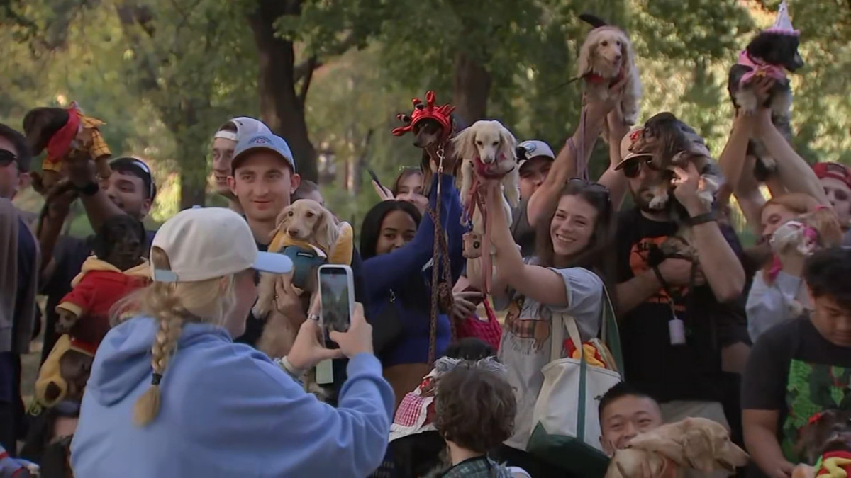 More Than 100 Dachshunds Took Over a Chicago Park for a 'Halloweenie' Party