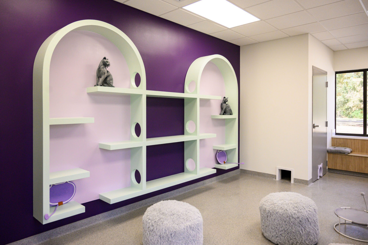Bring Socks, Not a Carrier: What to Know About Cat Haven's First Baton Rouge Cat Cafe
