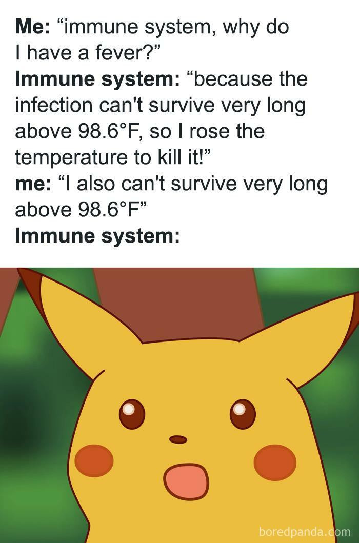 17. Evolution Failed Us. We’ll Get ‘Em Next Time