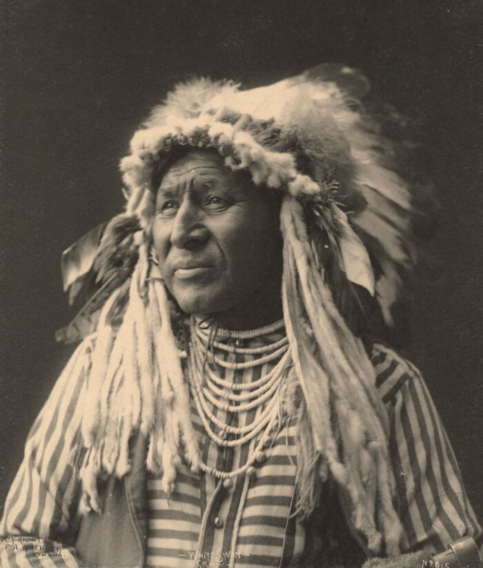 White Swan, Crow, 1898