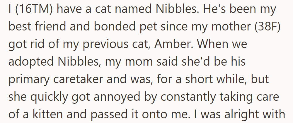 OP adopted Nibbles after his mom got annoyed with kitten care, making him the primary caretaker.