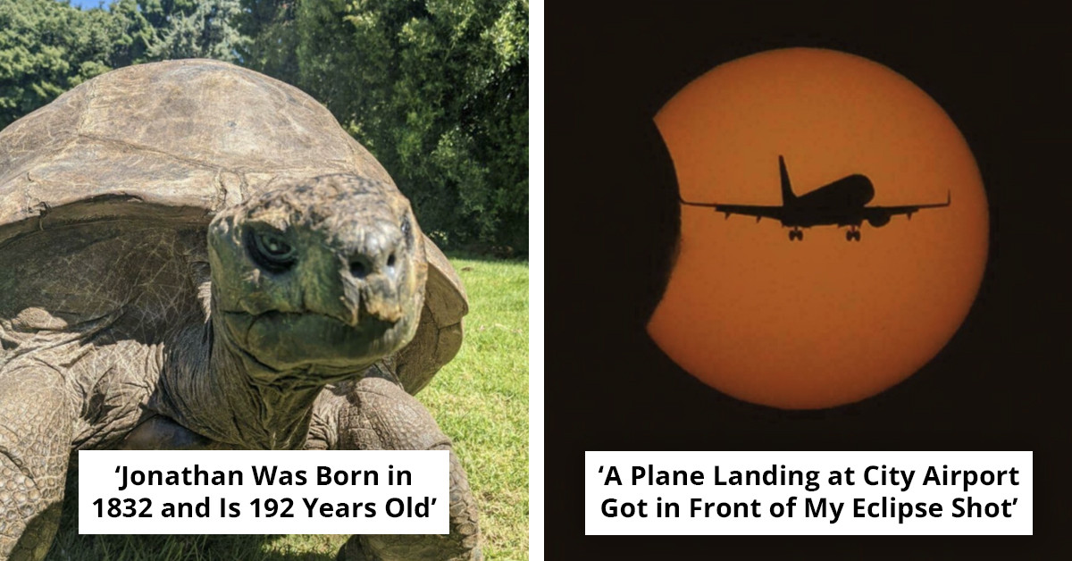 68 Real-Life Discoveries That Look Almost Too Strange to Be True