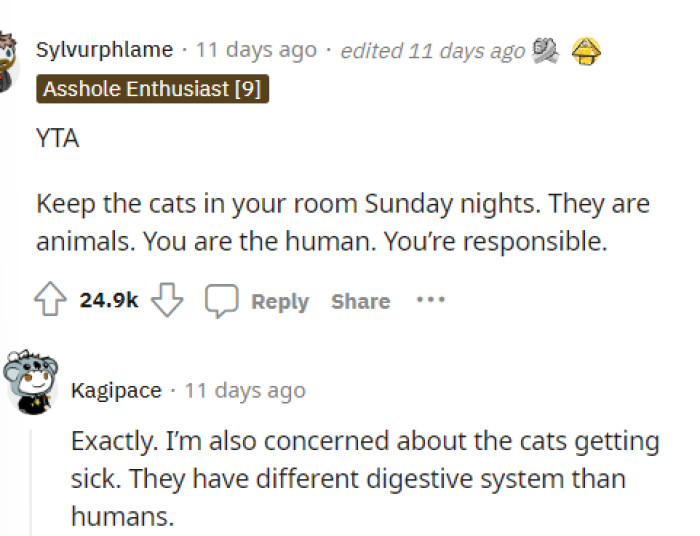 People definitely told OP that she was TA and gave her some suggestions for how maybe they can avoid this happening in the future.