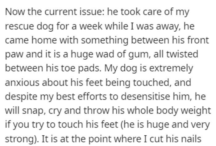 After the brother watched OP's dog for a week, they found a huge wad of gum between their dog's toe pads