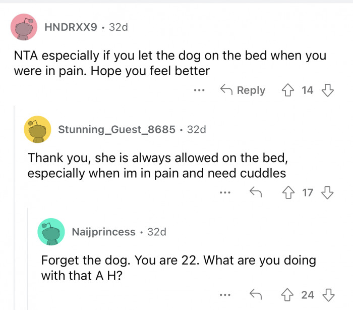 OP does not ban her dog from getting on the bed.
